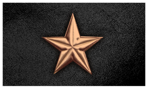 DNSEMP-C-430-BZ-BK Star Bronze-Black